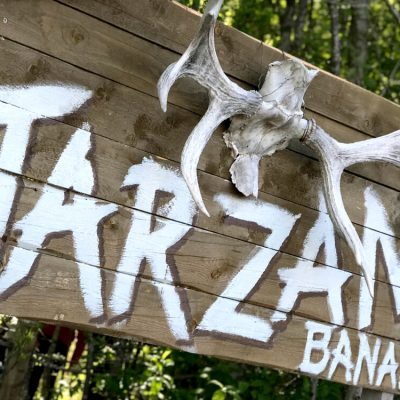 Tarzanbanan